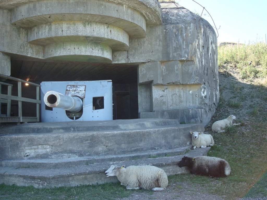 "Geschützbunker M270" Bangsbo Fort Juli 2008 by Höhni