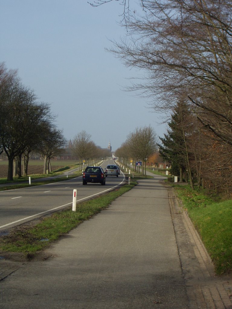 Holland-Zevenbergen by eremurus