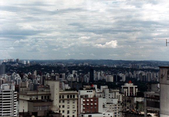 Vista da Paulista ao fundo Pq Ibirapuera 2 by Roberto Tchalian