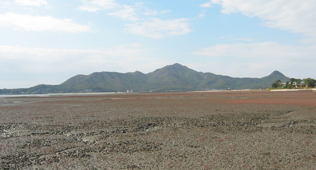 Mud beach at Sundoo-ri (선두리 갯벌) by Seok-Won Lee