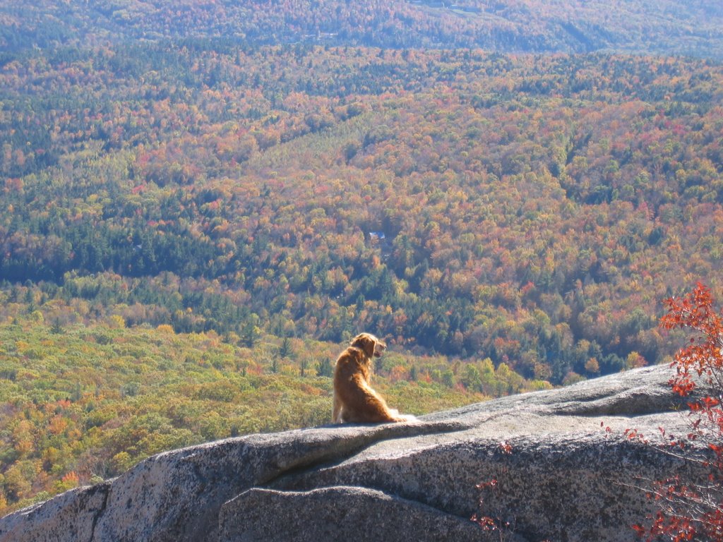 "Golden" View - Mt. Dickey by Steven James