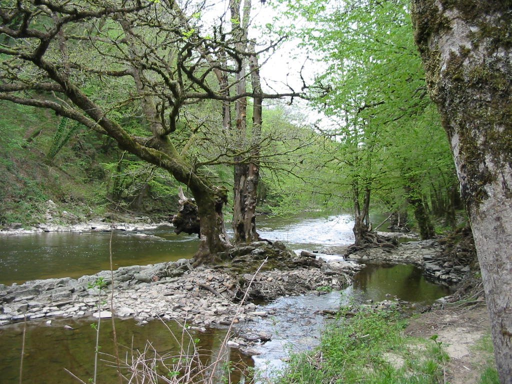 Les Bords de Creuse à Fresselines by MEUROT-COURRIER