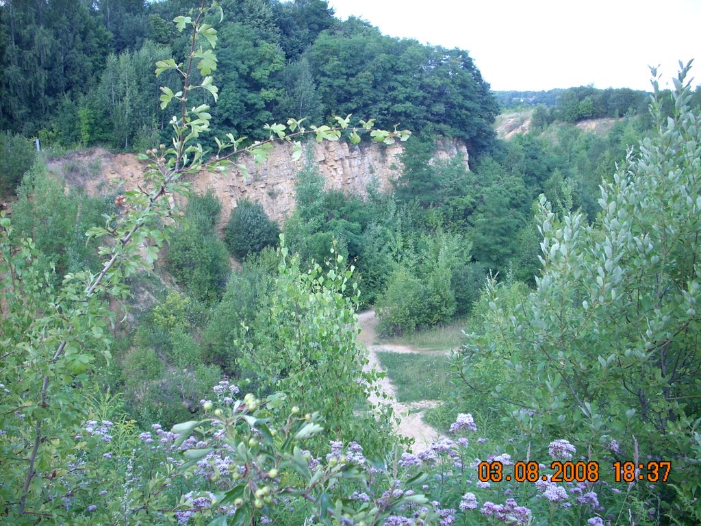 Tarnowskie Gory, Poland by pedrossi