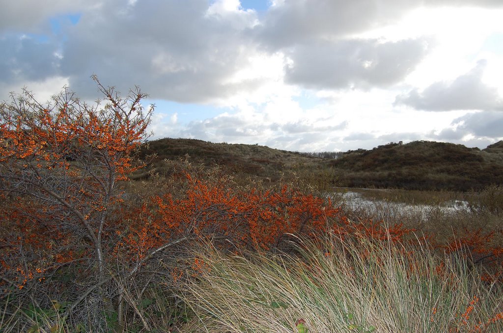 Clouds over the dunes by Lecleire Jacques