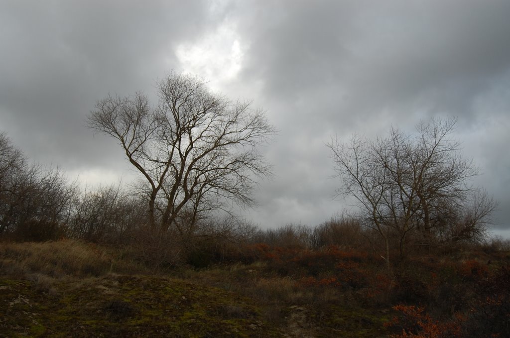 Raining clouds over the dunes (2) by Lecleire Jacques