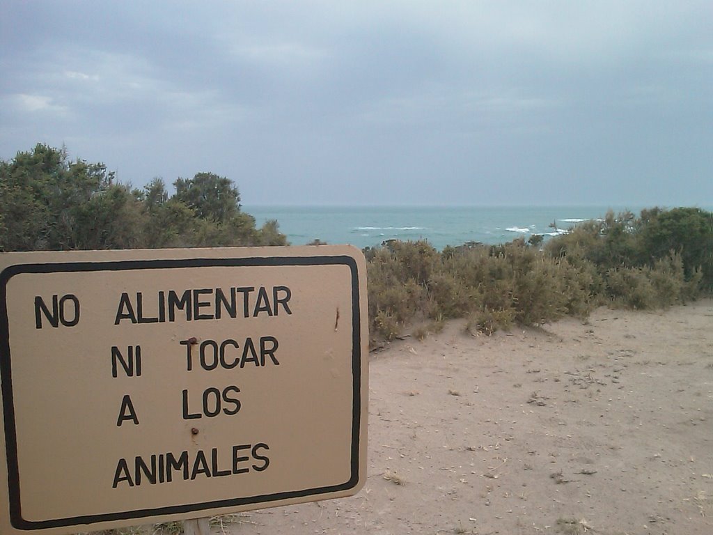 Estancia Punta Nte., Chubut, Argentina by Miriam Orlandi