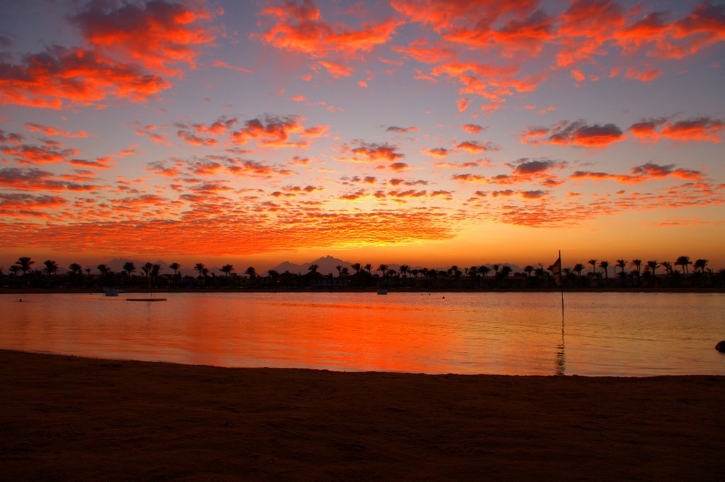 Desert Rose. Sunset by Dmitry Pristromov