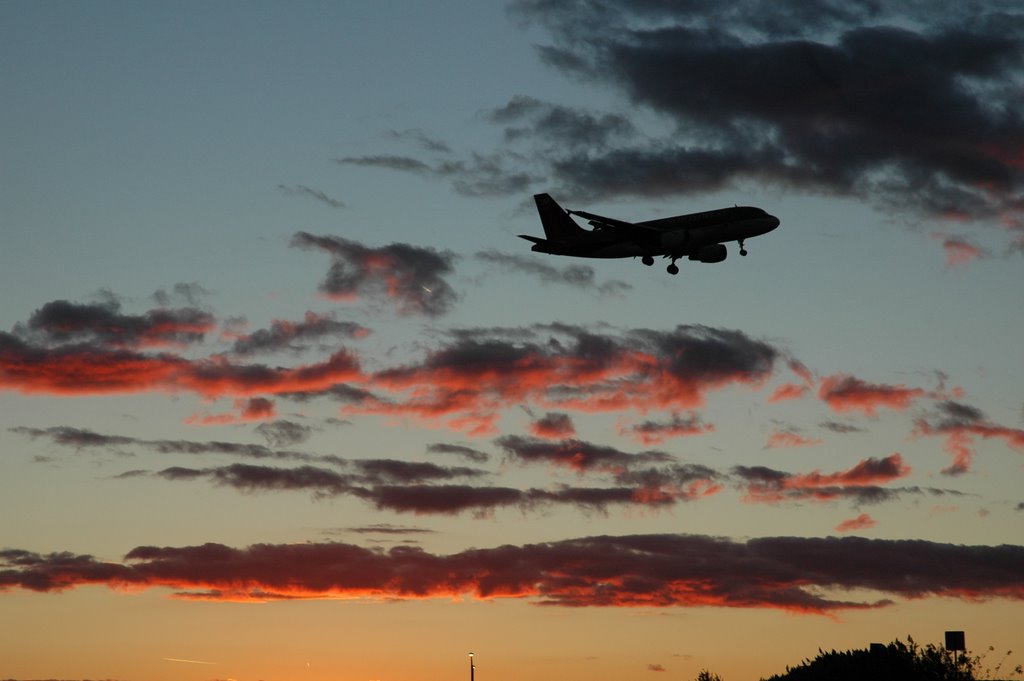 Detroit Metro Airport by Photomate