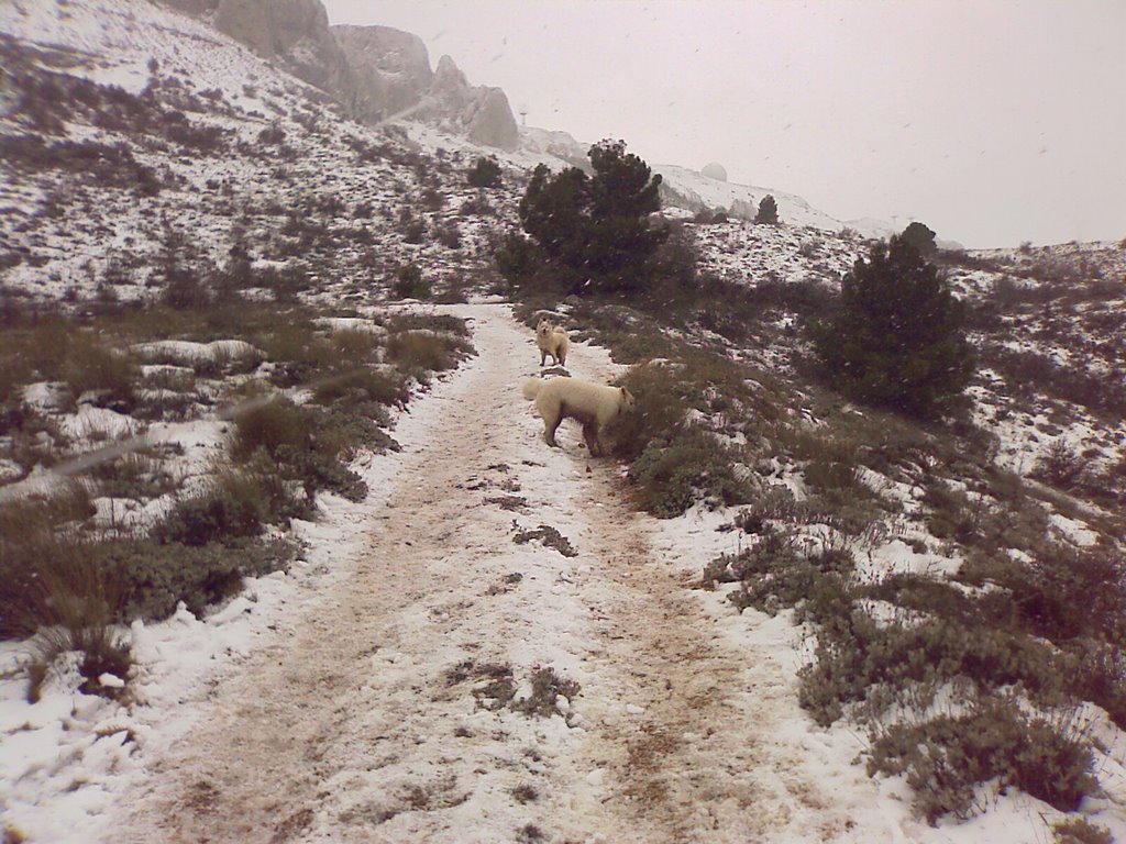 Vista antenas by Quique y sus perros