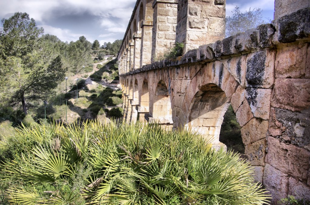 TARRAGONA PONT DEL DIABLE (3) by © ESTANRR