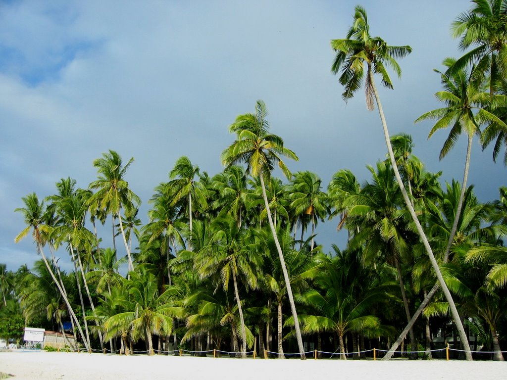 Alona Beach, Panglao Island by TineMeier