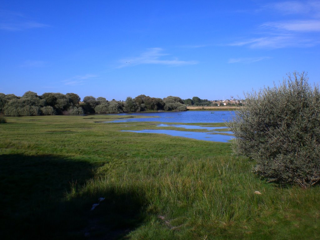 Laguna de Chozas by Cembraniyo