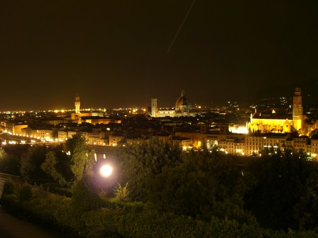 Firenze dal piazzale by luigi cappetti