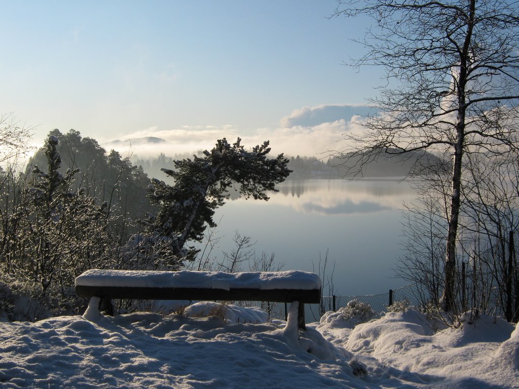 Gamlehaugen, Bergen, Norway by Zétényi Miklós