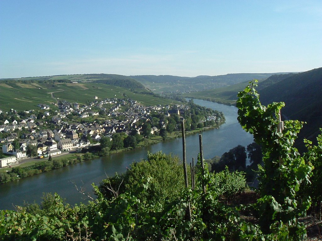 Neumagener Berg, looking over Neumagen-Dhron by wolf-j-flywheel