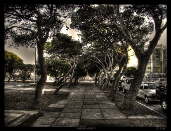 *Paseando entre los arboles* by JesusC