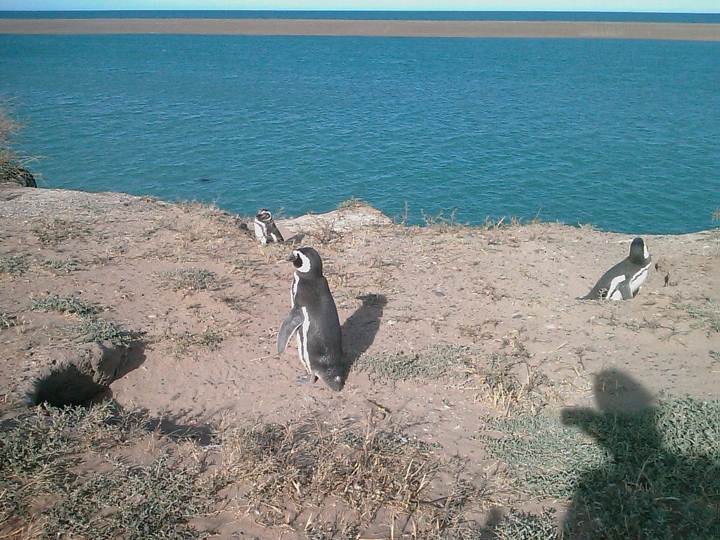 Viedma, Chubut, Argentina by Miriam Orlandi