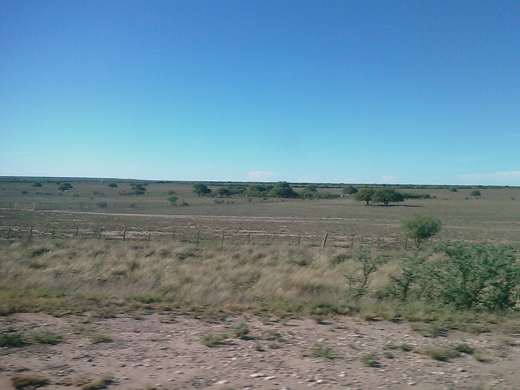 Caleu Caleu Department, La Pampa Province, Argentina by Miriam Orlandi