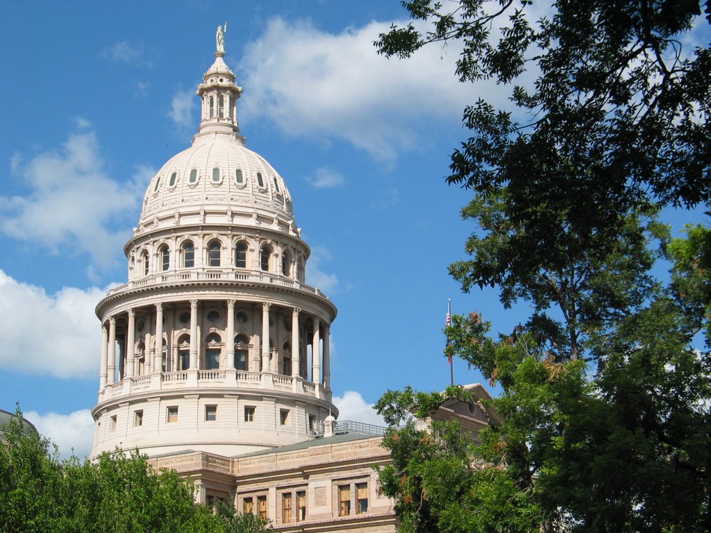 Texas State Capitol - Austin, TX - July 2008 by jmcgrath11