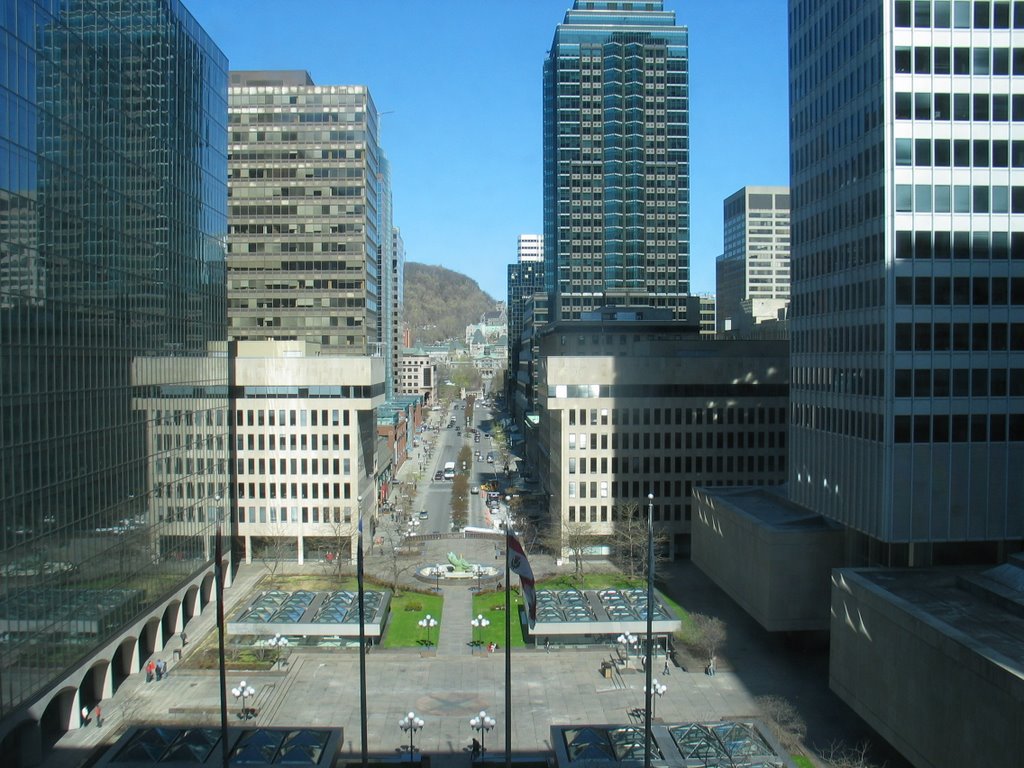 Avenue McGill-College by Doctor Lattice