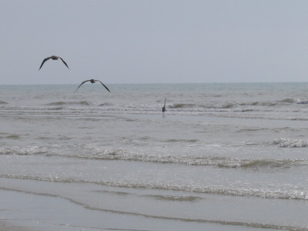 San Felipe Beach - Evil V by Evil V