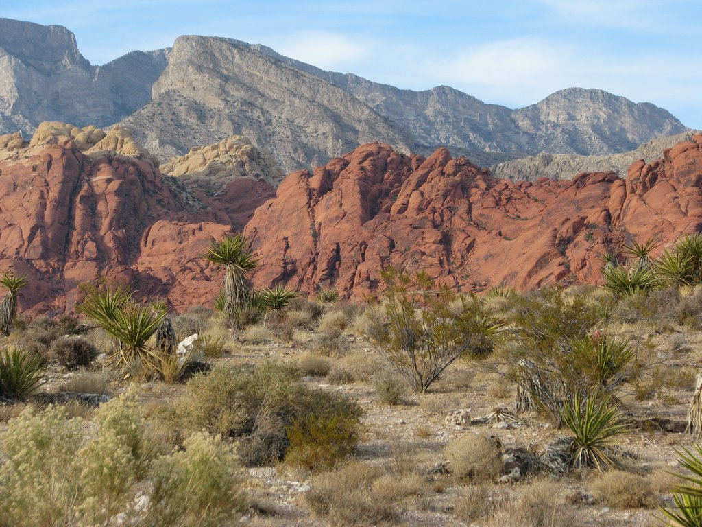 Red Rocks Canyon dr by Michael Cook