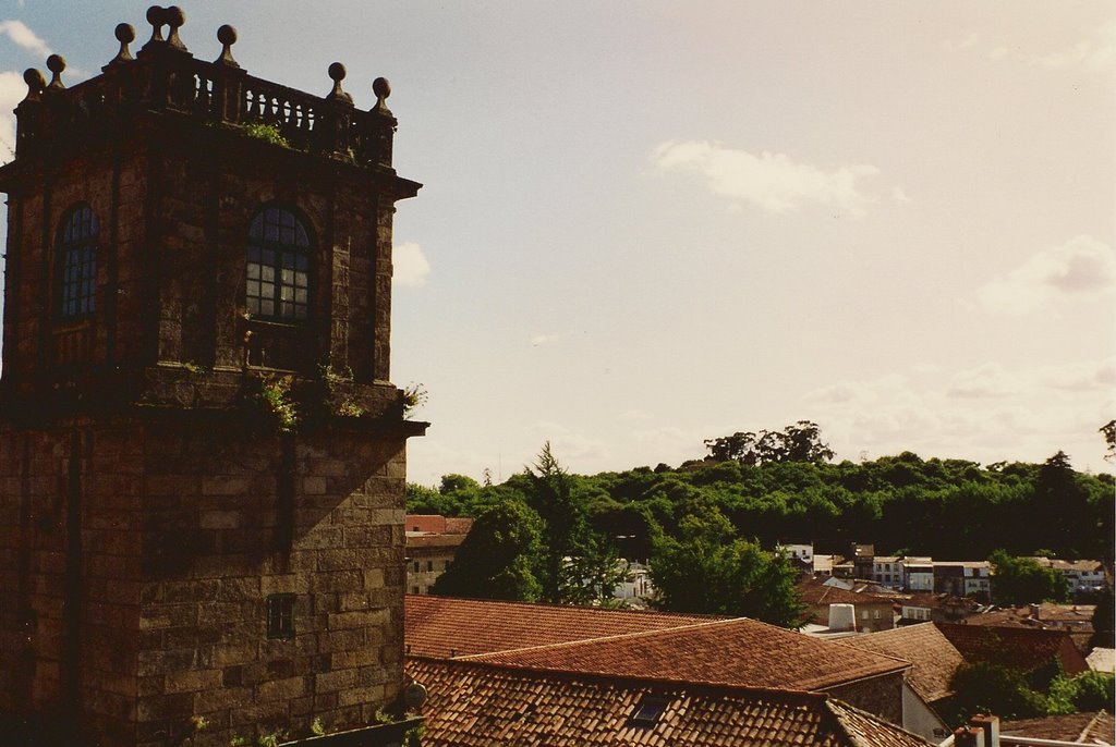 Torre del Palacio de Fonseca by Carmen Peña Medina