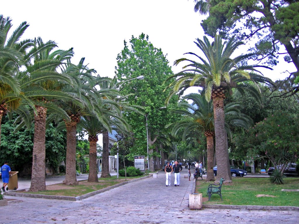 Budva, parkway by Alex Sleptsov