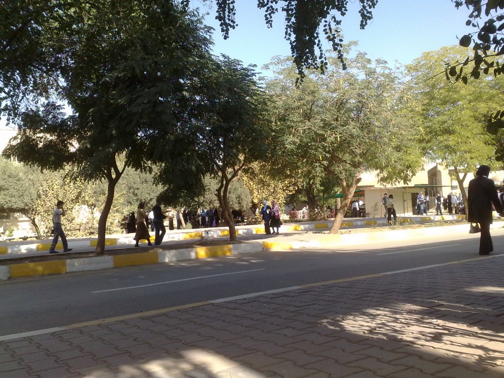 Baghdad university \ Bab almuadam مجمع جامعة بغداد / باب المعظم by Ali Sami