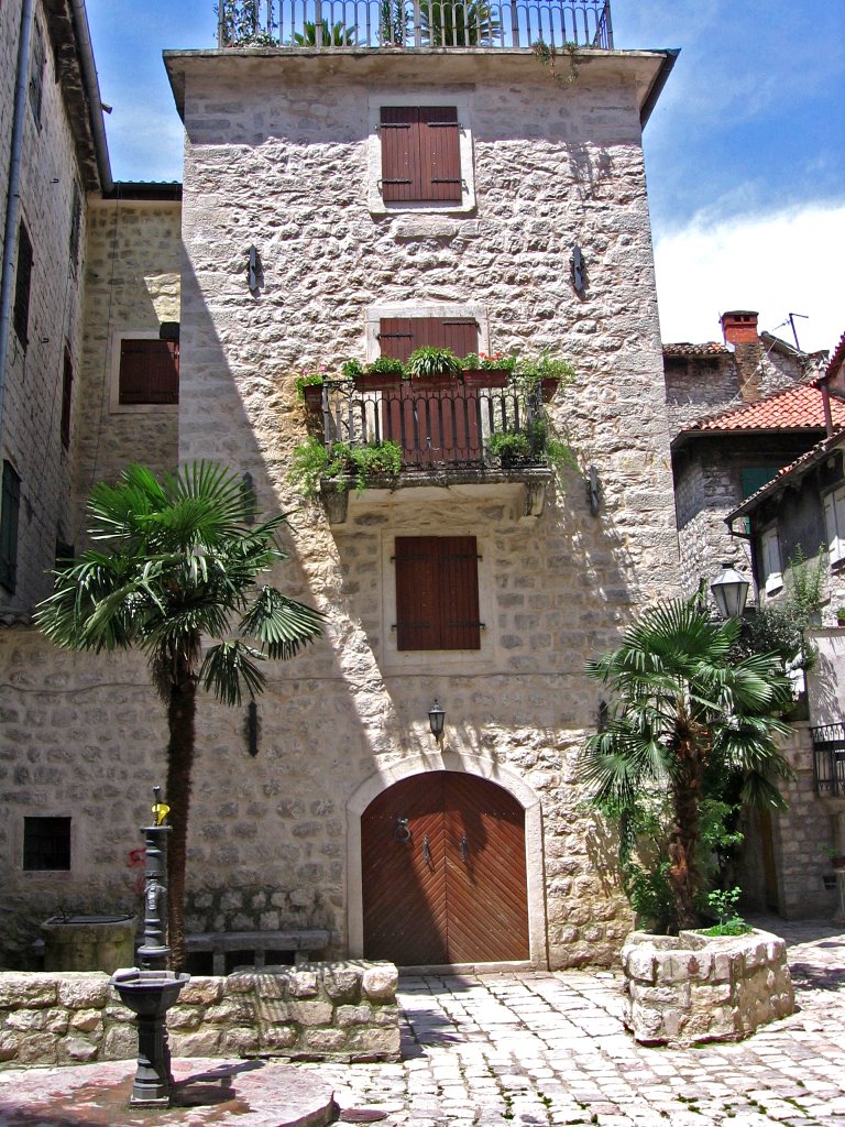 Kotor, Old Town by Alex Sleptsov