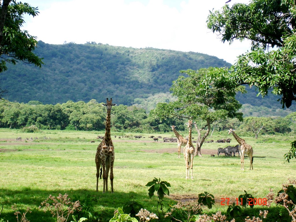 Arusha Natioanal Park Tanzania by Asif Soroush