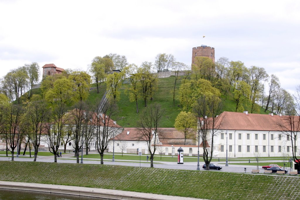 Замок Гедемина в Вильнюсе/Gediminas Castle in Vilnius by Victor Radziwinowski