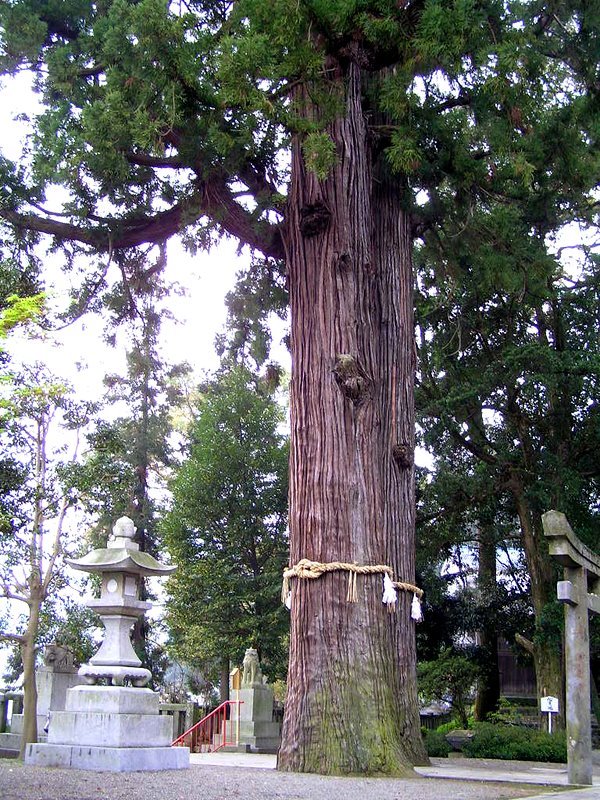 八幡朝見神社 Asami Shrine by nekoreds