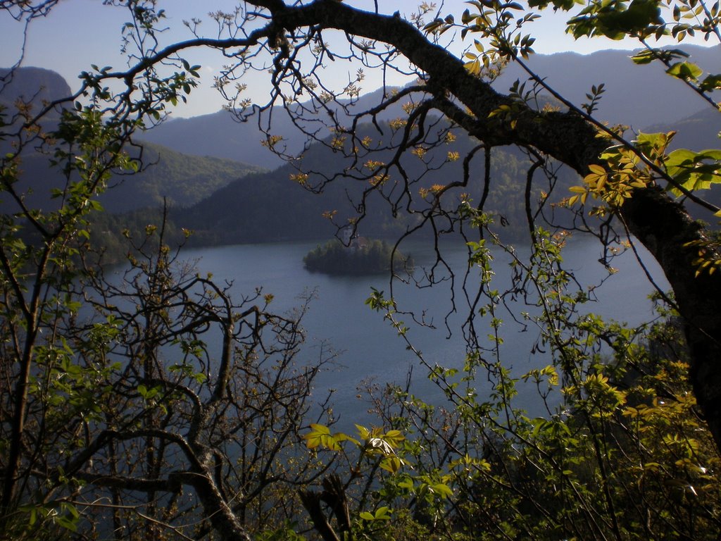 Looking from Bled Castle by borateen