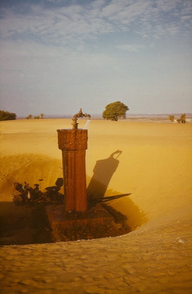 Artesian well pours without utility by P.Mrazek