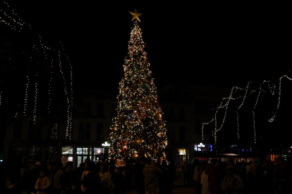 Christmas tree at Alamo 11/29/08 by T. Holden