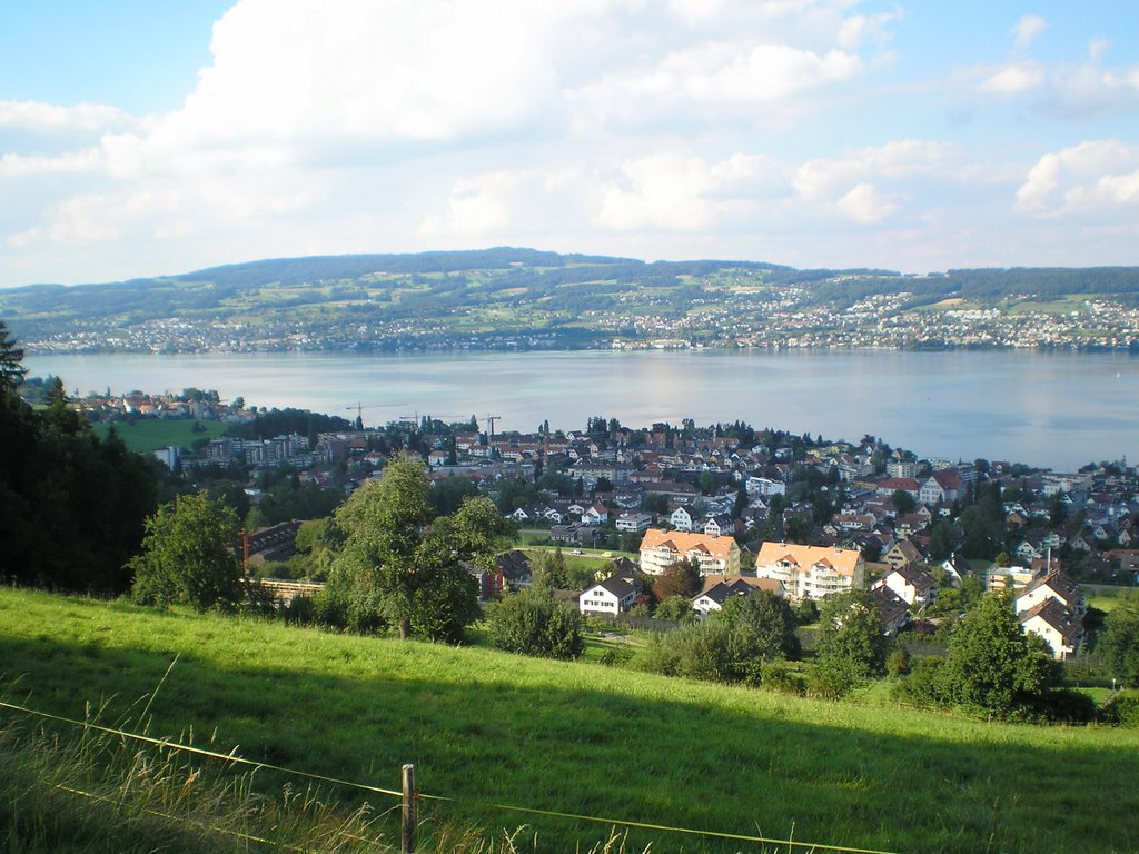 Zürichsee by fanous85