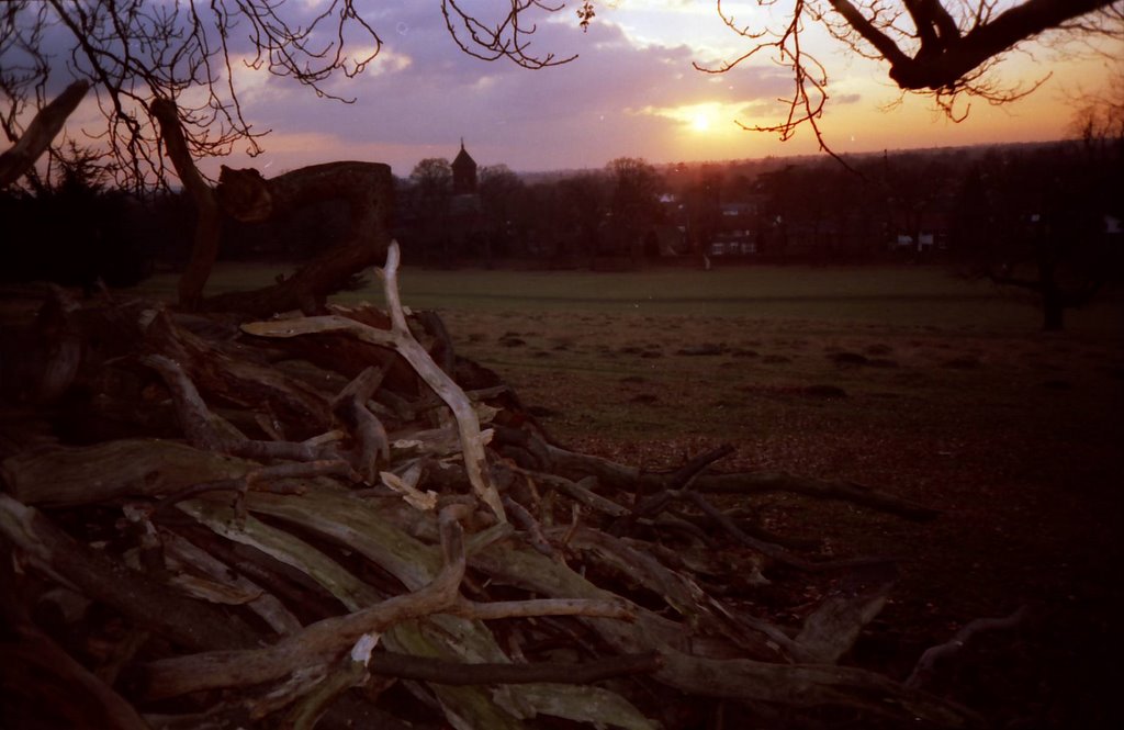 Richmond, UK by John Lipncki