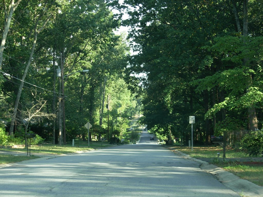 Dorsey Circle by jan.cernin