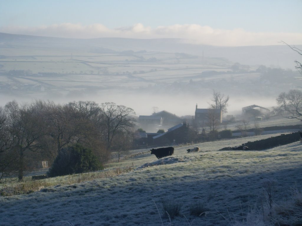 Fog in the valley by FZappa