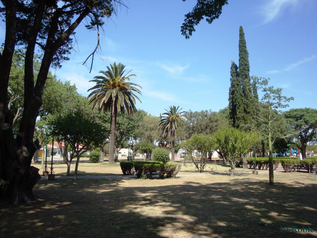 Plaza Central en San Genaro, Santa Fe, Argentina by El.Roble3