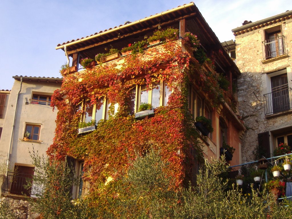 Colori autunnali a Peille (Provenza) by Ilda Casati