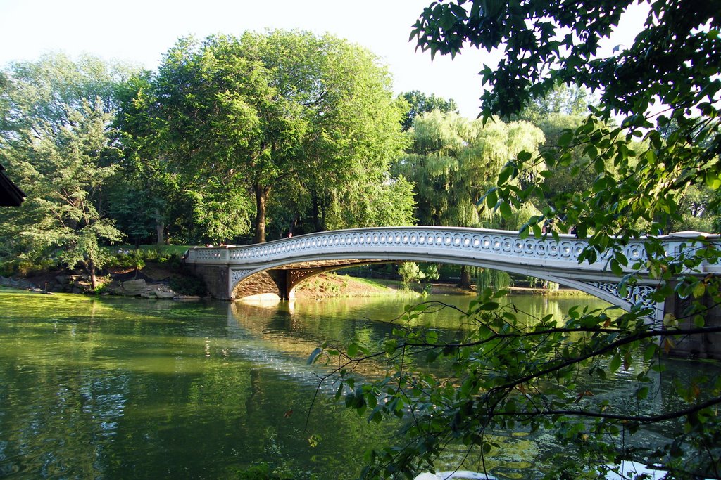 Verdes en el lago by Cris Tuero