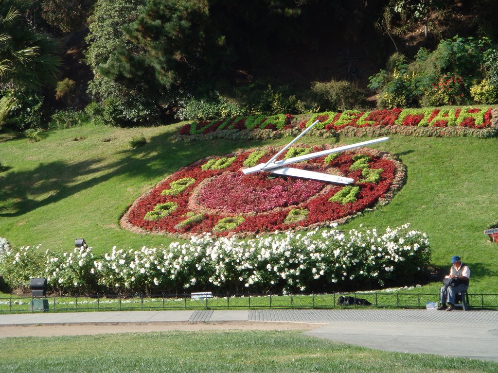 Relógio de flôres em Viña del Mar, Chile by hugo aspromonte