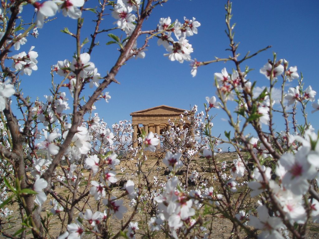 Agrigente sicilia by brigitte.nuyttens