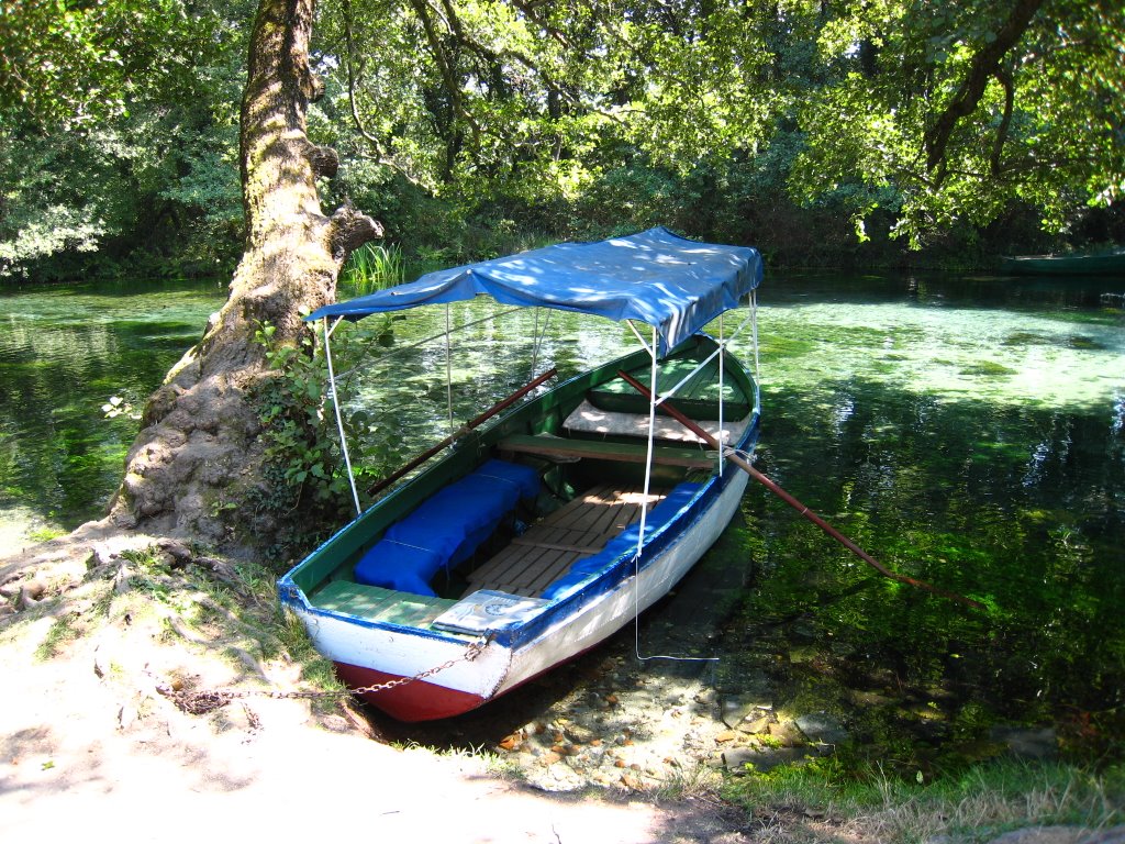 St.naum springs2008 by Marjan Petrovski