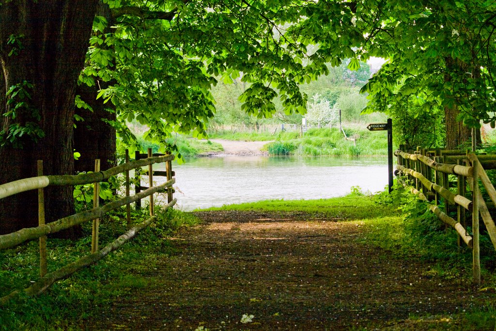 Across the Thames towards Cholsey by Nigel Peterson