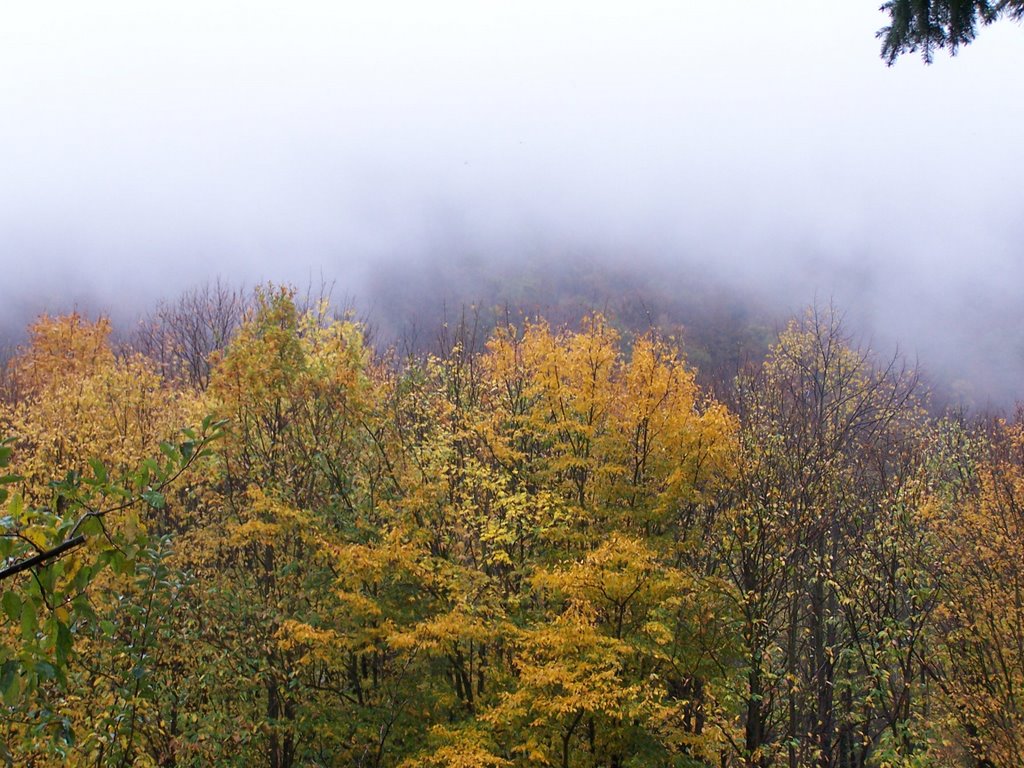 Pogled prema maglovitoj Medvednici - A Medvednica in the mist by miro zubac