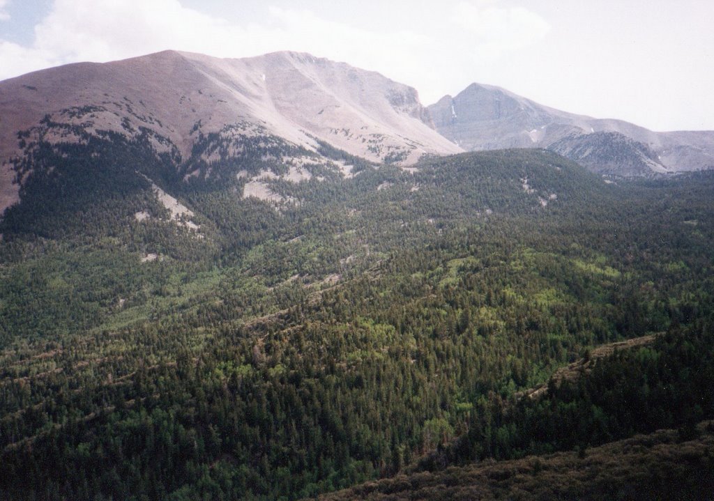 Wheeler Peak in Great Basin National Park by Chris Sanfino