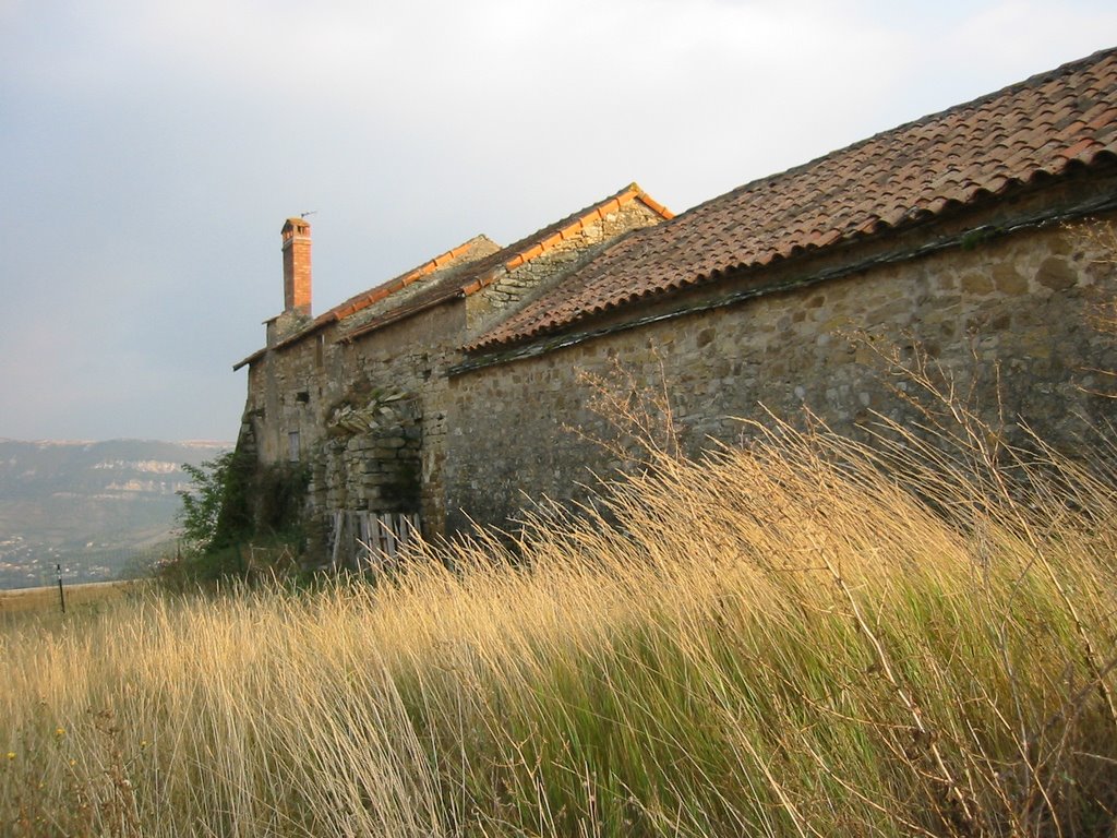 Ancient Farmstead by Art Anderson